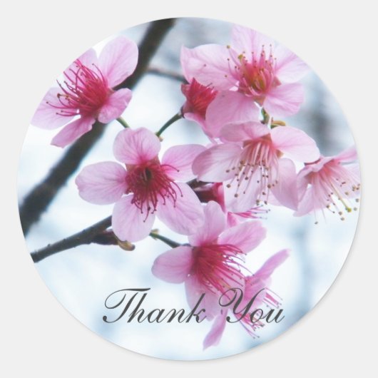 Cherry Blossom - A Ronde Sticker (Voorkant)