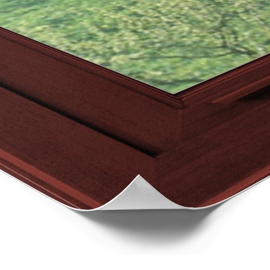 Cherry Blossom Afbeelding Window Illusion #3 van 3 Poster (Hoek)