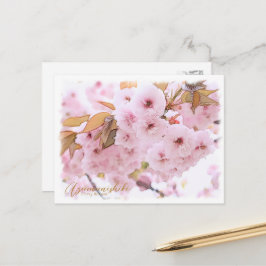 Cherry Blossom "Azuma-nishiki" ポストカード Briefkaart