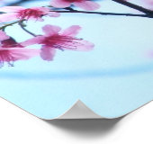 Cherry Blossom - B Poster (Hoek)