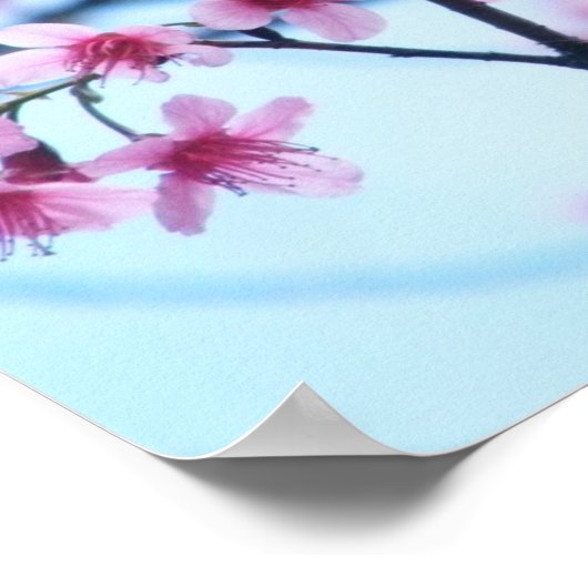 Cherry Blossom - B Poster (Hoek)