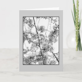 "Cherry Blossom" B&W Blank Wenskaart Kaart