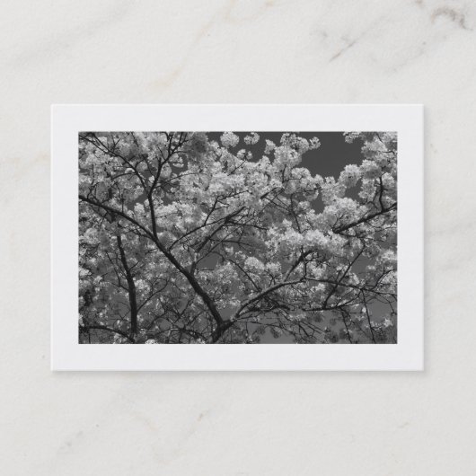 Cherry Blossom B&W (Borded) Visitekaartje (Voorkant)