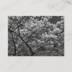 Cherry Blossom B&W Visitekaartje