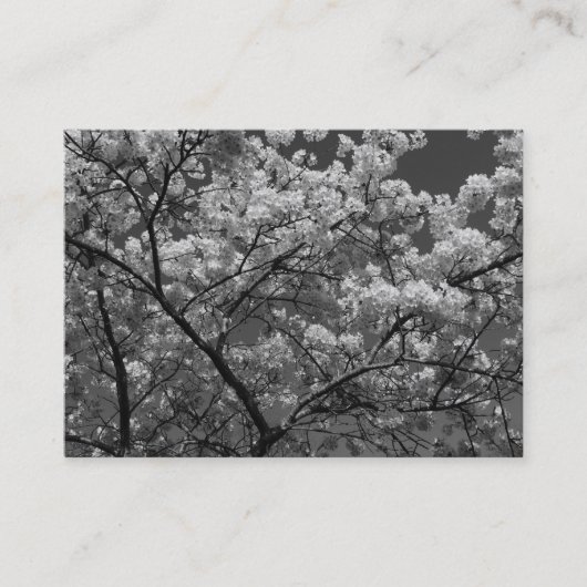 Cherry Blossom B&W Visitekaartje (Voorkant)