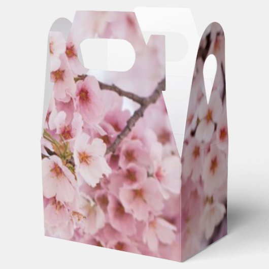 Cherry Blossom Bedankdoosjes (Geopend)