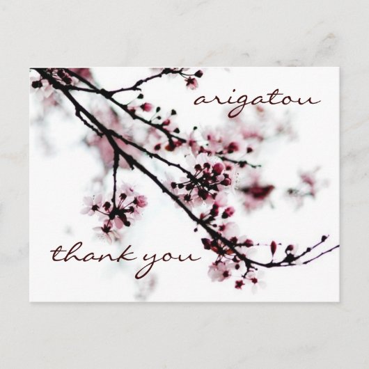 Cherry Blossom Bedankt Briefkaart (Voorkant)