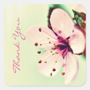 Cherry Blossom Bedankt Vierkante Sticker