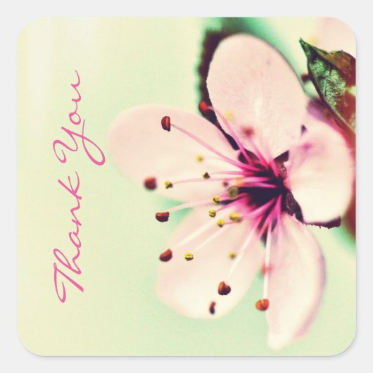 Cherry Blossom Bedankt Vierkante Sticker (Voorkant)