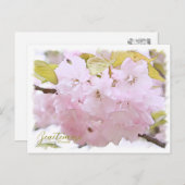 Cherry Blossom "Benitemari" ポストカード Briefkaart (Voorkant / Achterkant)