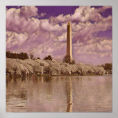 Cherry Blossom bij het Washington Monument Poster (Voorkant)