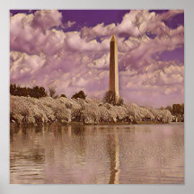 Cherry Blossom bij het Washington Monument
