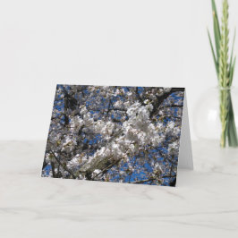 Cherry Blossom Blank Notecard Kaart