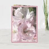 Cherry Blossom bleek roze en witte kaartfoto Kaart (Achterkant)