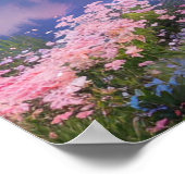 Cherry Blossom Bliss Poster (Hoek)
