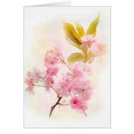 Cherry Blossom bloemen