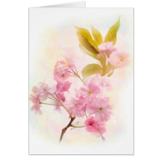 Cherry Blossom bloemen