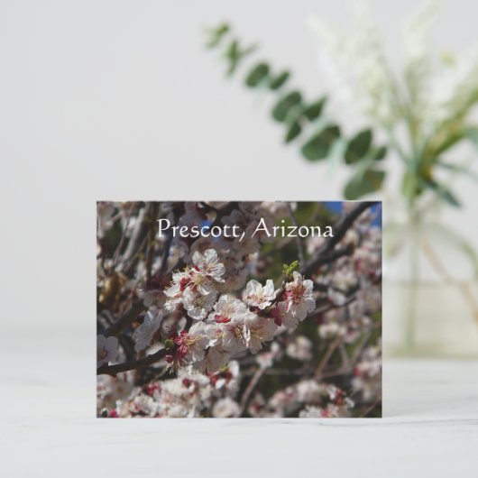 Cherry Blossom blooming in Prescott, Arizona Briefkaart (Staand voorkant)