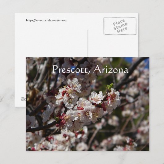 Cherry Blossom blooming in Prescott, Arizona Briefkaart (Voorkant / Achterkant)