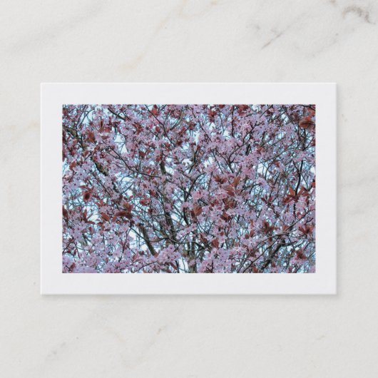 Cherry Blossom (Borded) Visitekaartje (Voorkant)