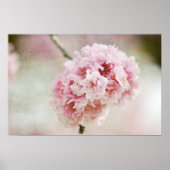 Cherry Blossom Botanical Poster (Voorkant)
