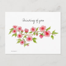 Cherry Blossom branch Briefkaart