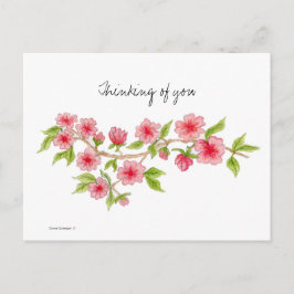 Cherry Blossom branch Briefkaart