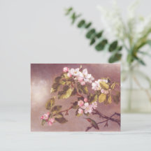 Cherry Blossom Branch