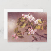 Cherry Blossom Branch Briefkaart (Voorkant / Achterkant)