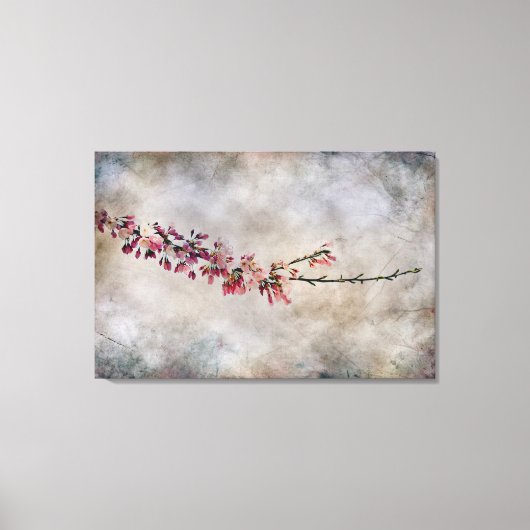 Cherry Blossom Branch Canvas Afdruk (Voorkant)