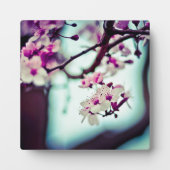Cherry Blossom Branch Fotoplaat (Voorkant)