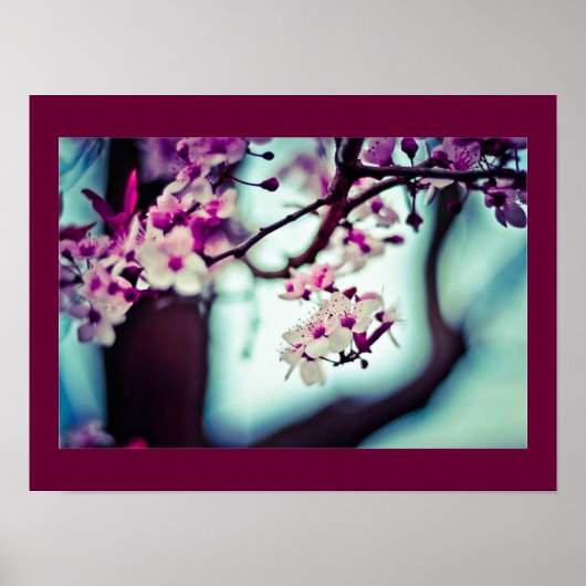 Cherry Blossom Branch Poster (Voorkant)