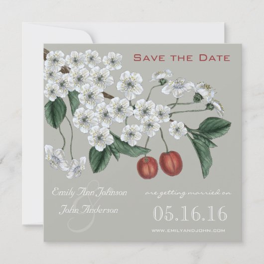Cherry Blossom Branch Save the Date Kaart (Voorkant)