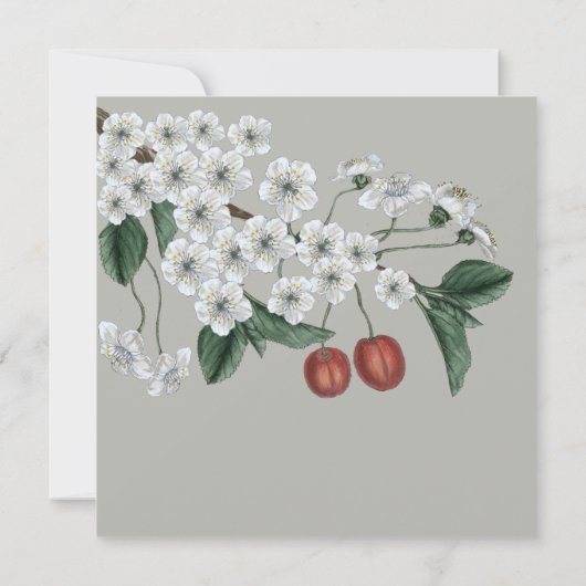 Cherry Blossom Branch Save the Date Kaart (Achterkant)