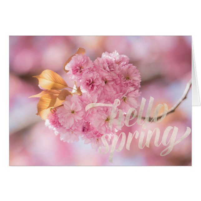 Cherry Blossom Branch Spring Text (Voorkant Horizontaal)