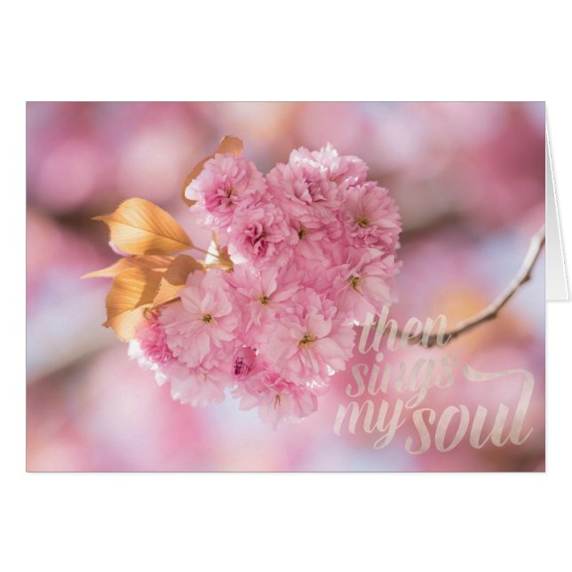 Cherry Blossom Branch Spring Text (Voorkant Horizontaal)