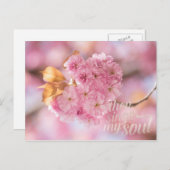 Cherry Blossom Branch Spring Text Briefkaart (Voorkant / Achterkant)