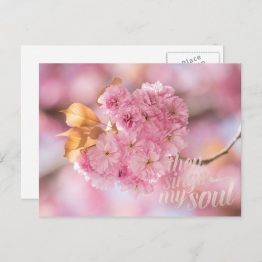 Cherry Blossom Branch Spring Text Briefkaart (Voorkant / Achterkant)