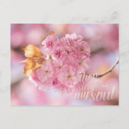 Cherry Blossom Branch Spring Text Briefkaart