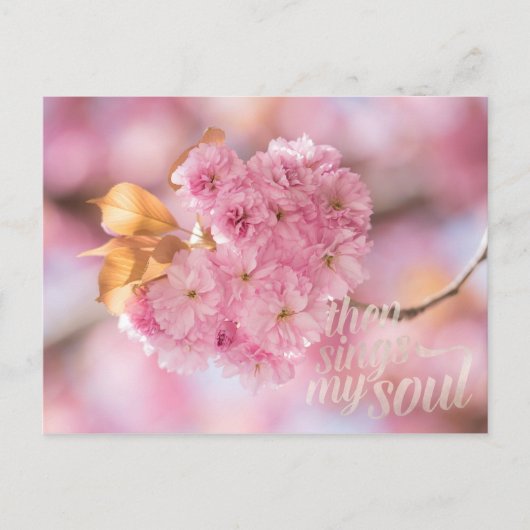 Cherry Blossom Branch Spring Text Briefkaart (Voorkant)