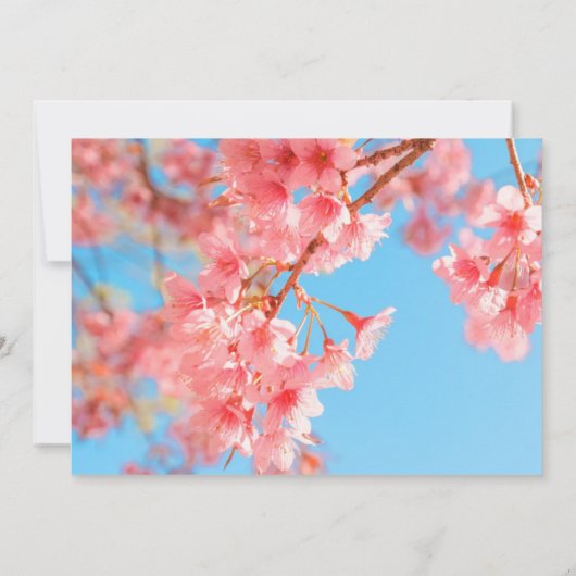 Cherry Blossom Bridal Shower Uitnodiging (Achterkant)