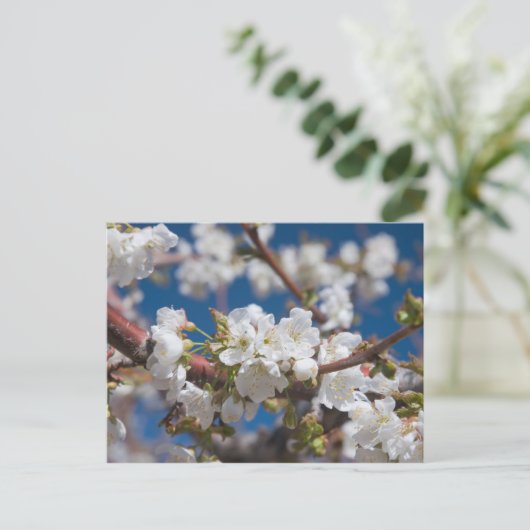 Cherry Blossom Briefkaart (Staand voorkant)
