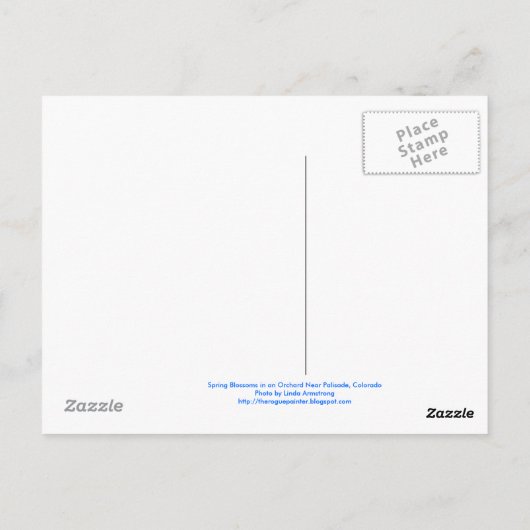 Cherry Blossom Briefkaart (Achterkant)