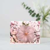 Cherry Blossom Briefkaart (Staand voorkant)