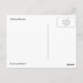 Cherry Blossom Briefkaart (Achterkant)