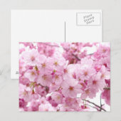 Cherry blossom briefkaart (Voorkant / Achterkant)