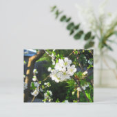 Cherry Blossom Briefkaart (Staand voorkant)