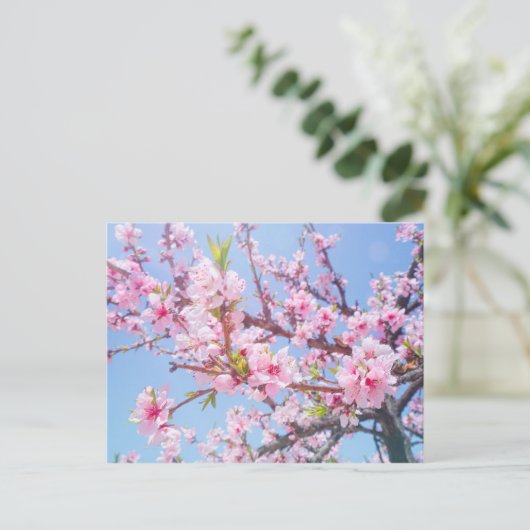 Cherry Blossom Briefkaart (Staand voorkant)