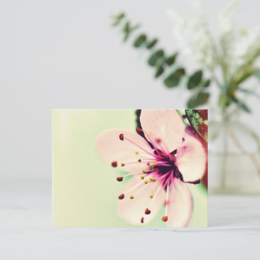 Cherry Blossom Briefkaart (Staand voorkant)