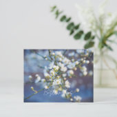 Cherry blossom briefkaart (Staand voorkant)